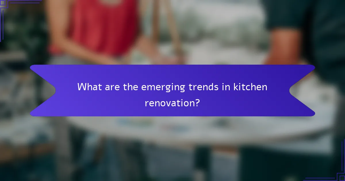 What are the emerging trends in kitchen renovation?